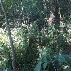 Kříž u rybníka Valchař u Chýnova