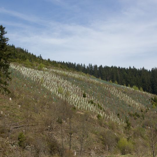 LSG Frankenwald im Gebiet der Landkreise Hof, Kronach und Kulmbach