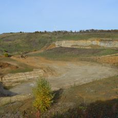 Nine Acres Pit