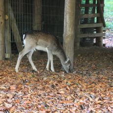 Wildpark Malente