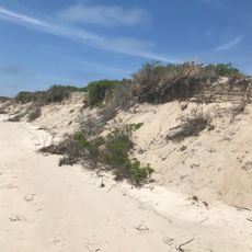 Monomoy Beach