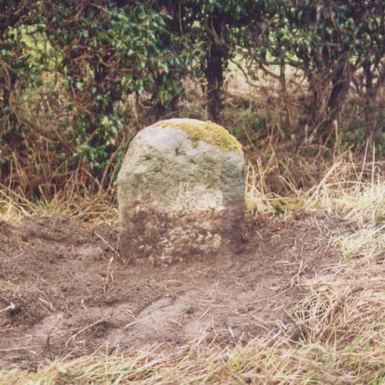 Milestone, E of Marlpits Farm entrance