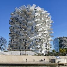 L'Arbre Blanc