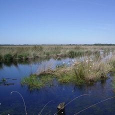Ahlen-Falkenberger Moor, Halemer/Dahlemer See