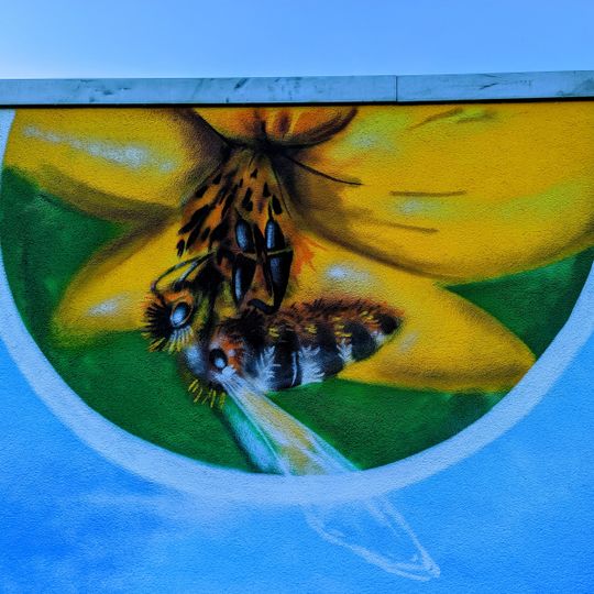 Muurschildering, kunstwerk