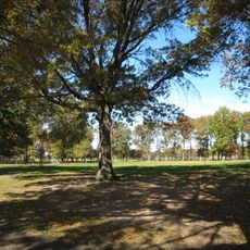 Marine Park