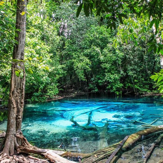 Parc national de Khao Phanom Bencha