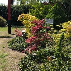 Labyrinthes aux 1000 Fleurs