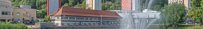 Vista panorámica 1