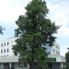 Jinan v Sladkovského ulici