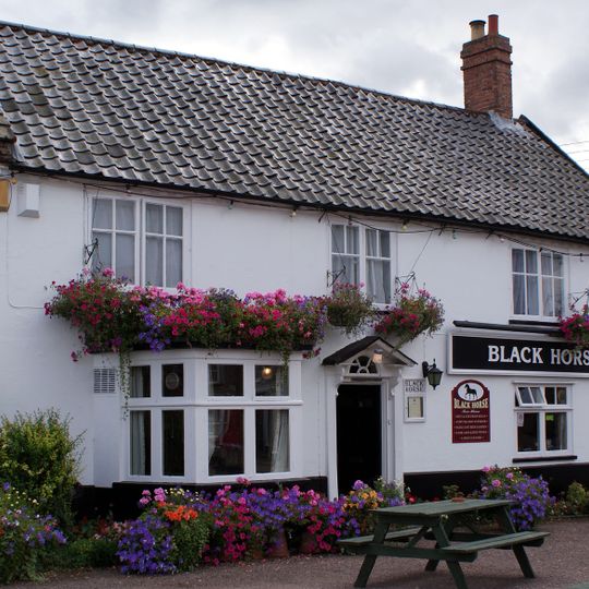 Black Horse