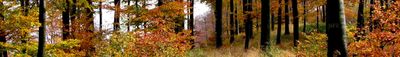 Panoramic View 0