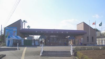 Entrada 1