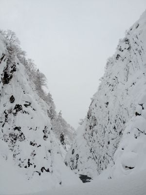 冬 1