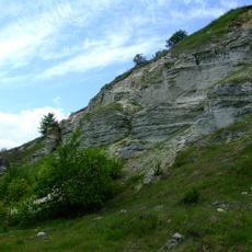 Відслонення тортонських пісковиків із скупченням викопної тортонської фауни