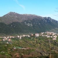 Pisoniano