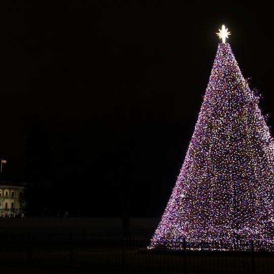 National Christmas Tree