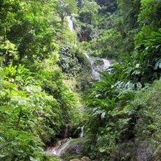 Tufton Hall Waterfall