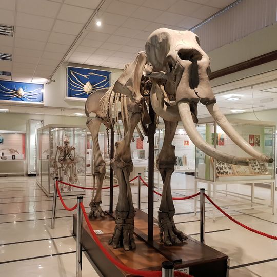 Cole Museum of Zoology