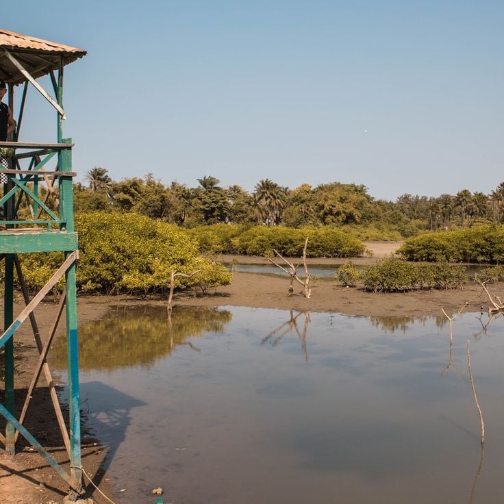 Kotu Bridge