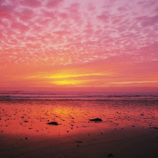 Cardiff-by-the-Sea