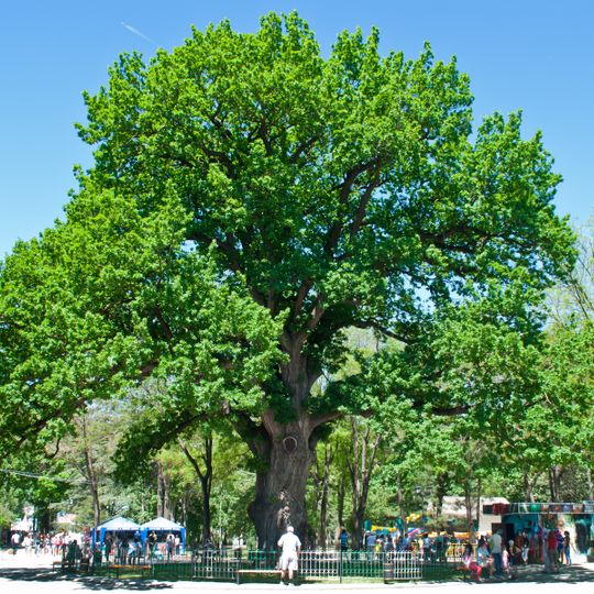 Kinderpark in Simferopol