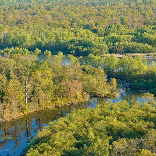 Parque nacional de Bikin