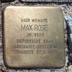 Max Rose