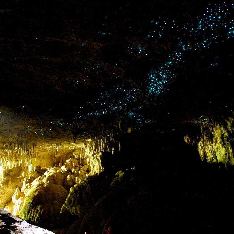 Waitomo Grotten Waitomo Glowworm Caves - Grotte touristique à Waitomo, Nouvelle-Zélande