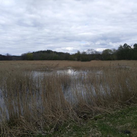 Turniškių II tvenkinys