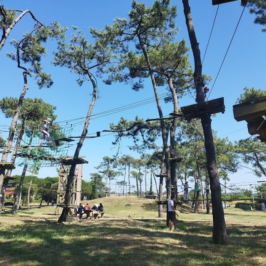 Accrobranche