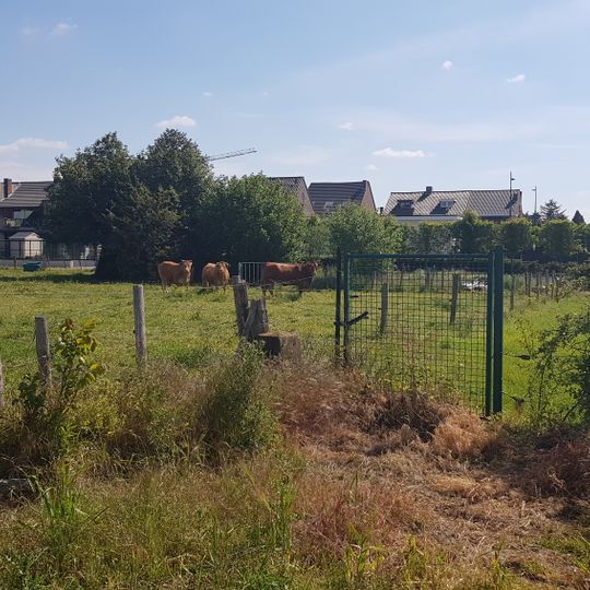 Belgium-Netherlands boundary stone no. 101b