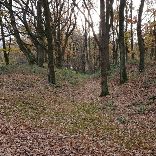Landgraaf Brunssummerheide
