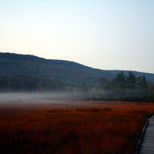 Cranberry Glades