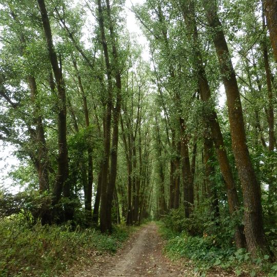 Kovchynskyi Preserve