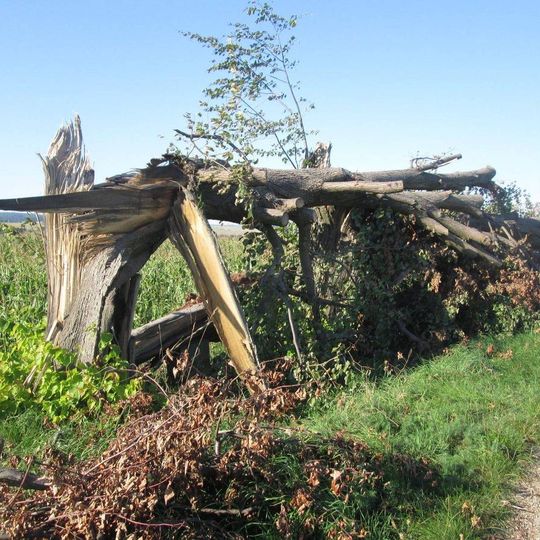 Kříž jihozápadně od Ovčin