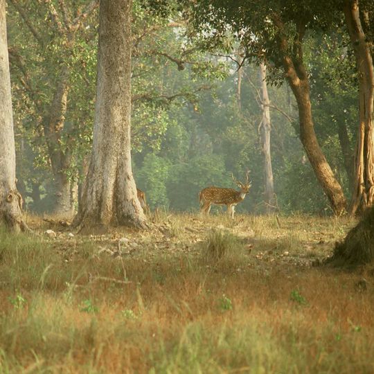 Parco nazionale di Kanha