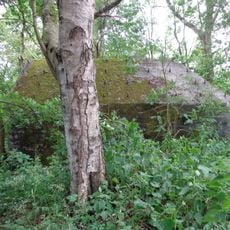 Kleizuwe te 's-Graveland