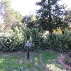 Robertson Park and Archaeological Sites