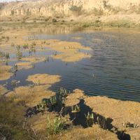 shahrestān di Shahin Shahr e Meymeh