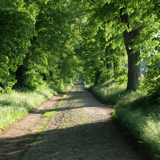 Allee Ringenwalde – Poratz