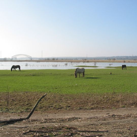 Stadsblokken-Meinerswijk