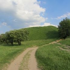 Шведская гара