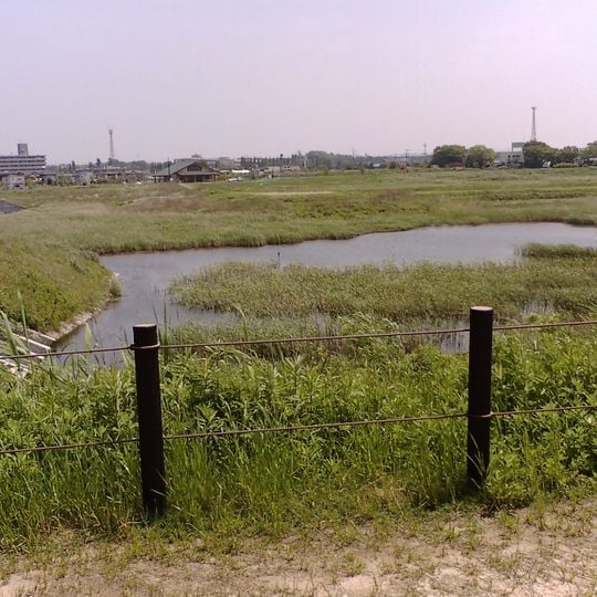 大柏川第一調節池綠地