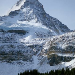 Monte Assiniboine