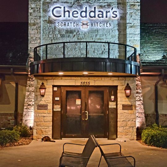 Cheddar's Scratch Kitchen