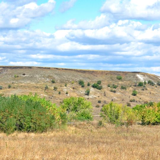 Stupky-Golubovs'ki Botanical Natural Monument