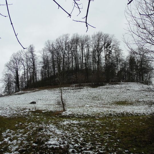 Vulkanembryo Hochbölle