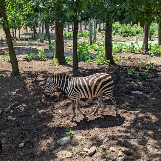 Catoctin Wildlife Preserve and Zoo