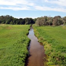 Záhorské pláňavy